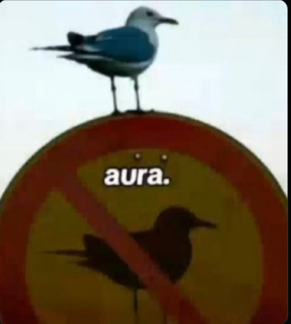 Imagem do post A Anatomia da Aura Suprema (ou: A Gaivota que Desafiou o Sistema)